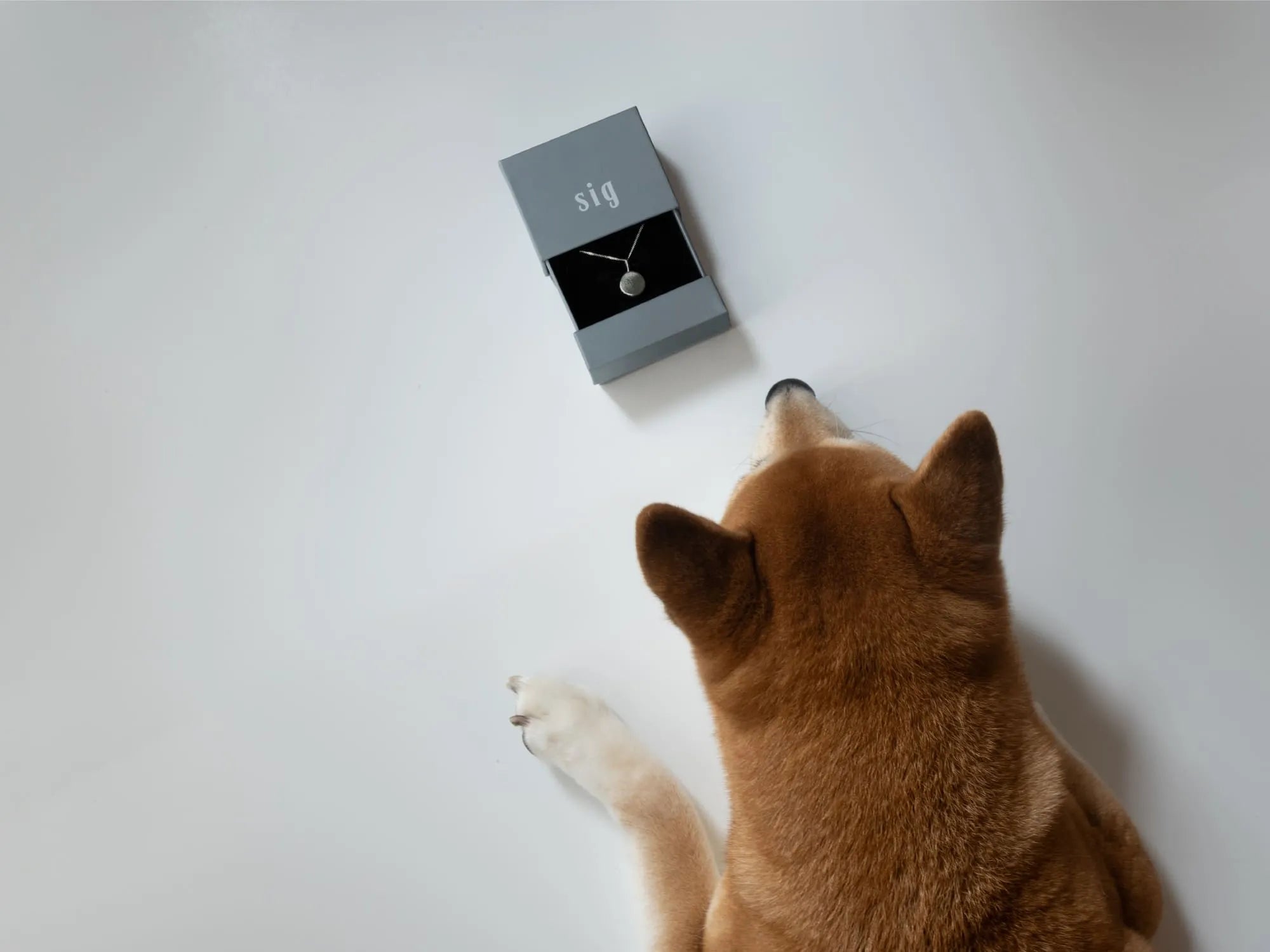 肉球ジュエリー | 指紋ジュエリー | sig jewelry