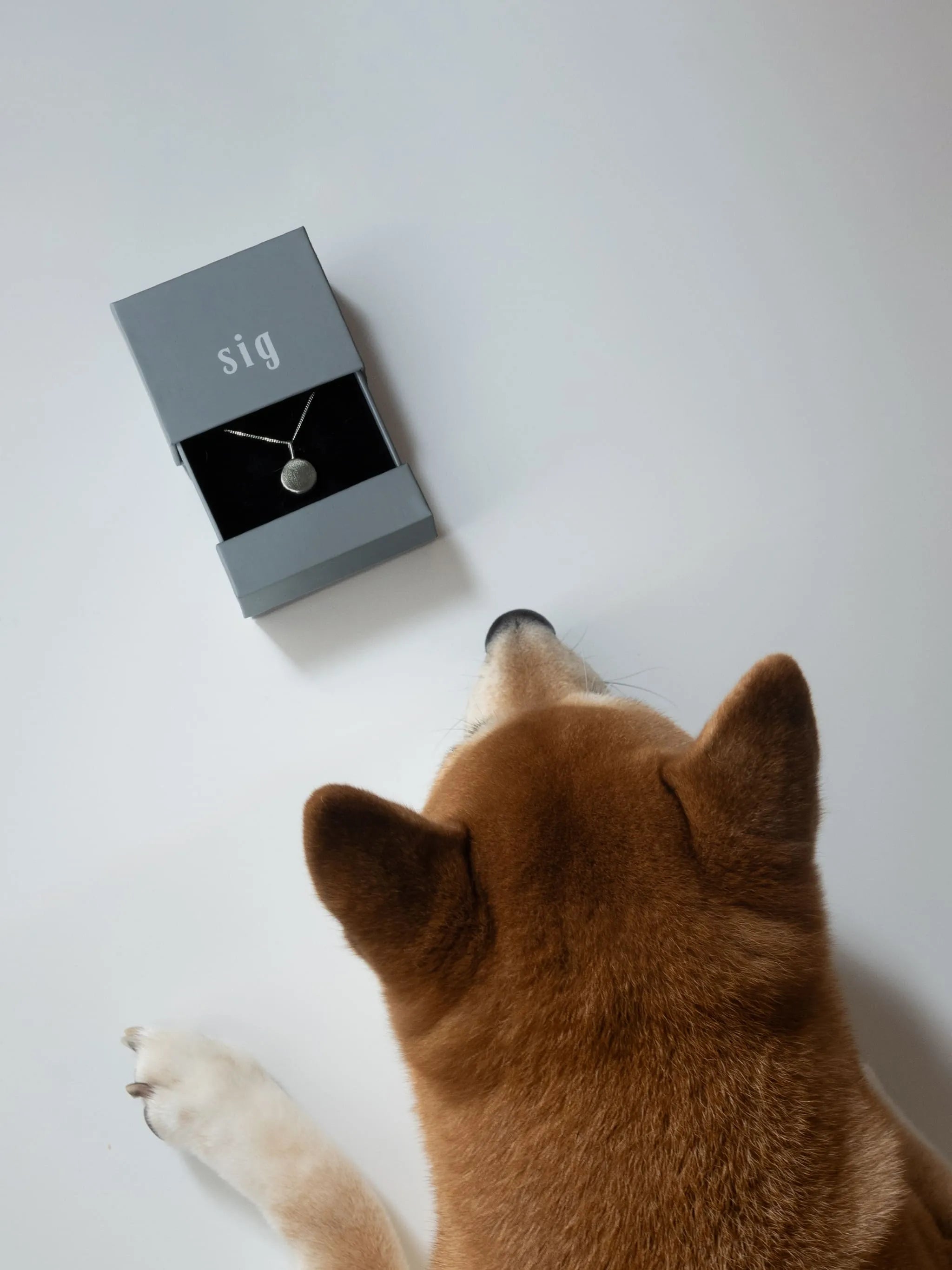 肉球ジュエリー | 指紋ジュエリー | sig jewelry