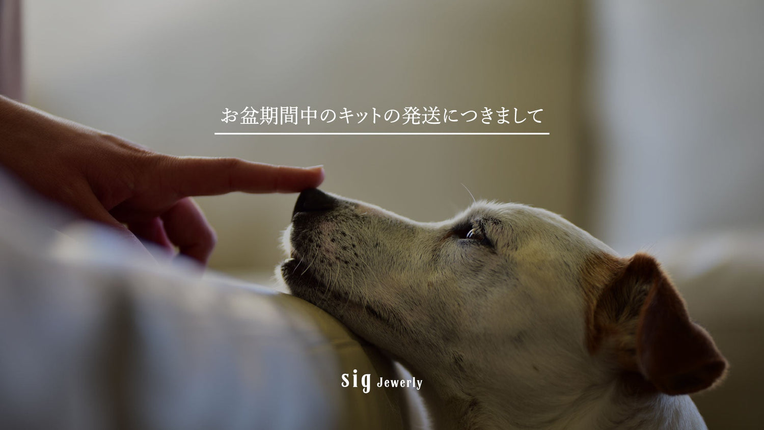 お盆期間中のキットの発送につきまして